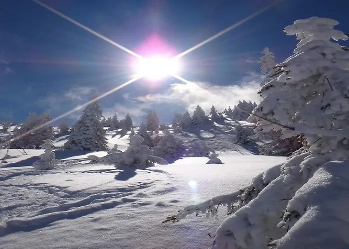 Kirchberg By Managers Apartment Kirchberg in Tirol